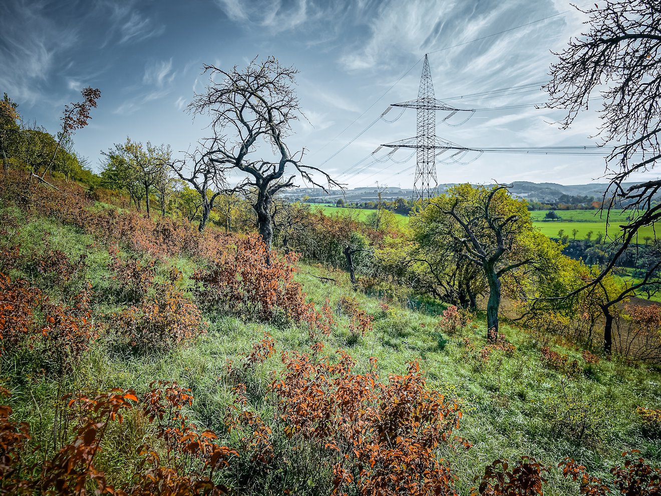 Netztransparenz > Regelenergie > Daten Regelreserve > MOL-Abweichungen